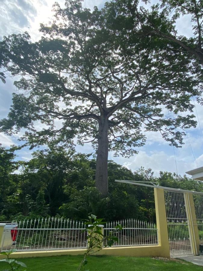 SámaraPeaceful And Beautiful Casa Almita Bonita别墅 外观 照片