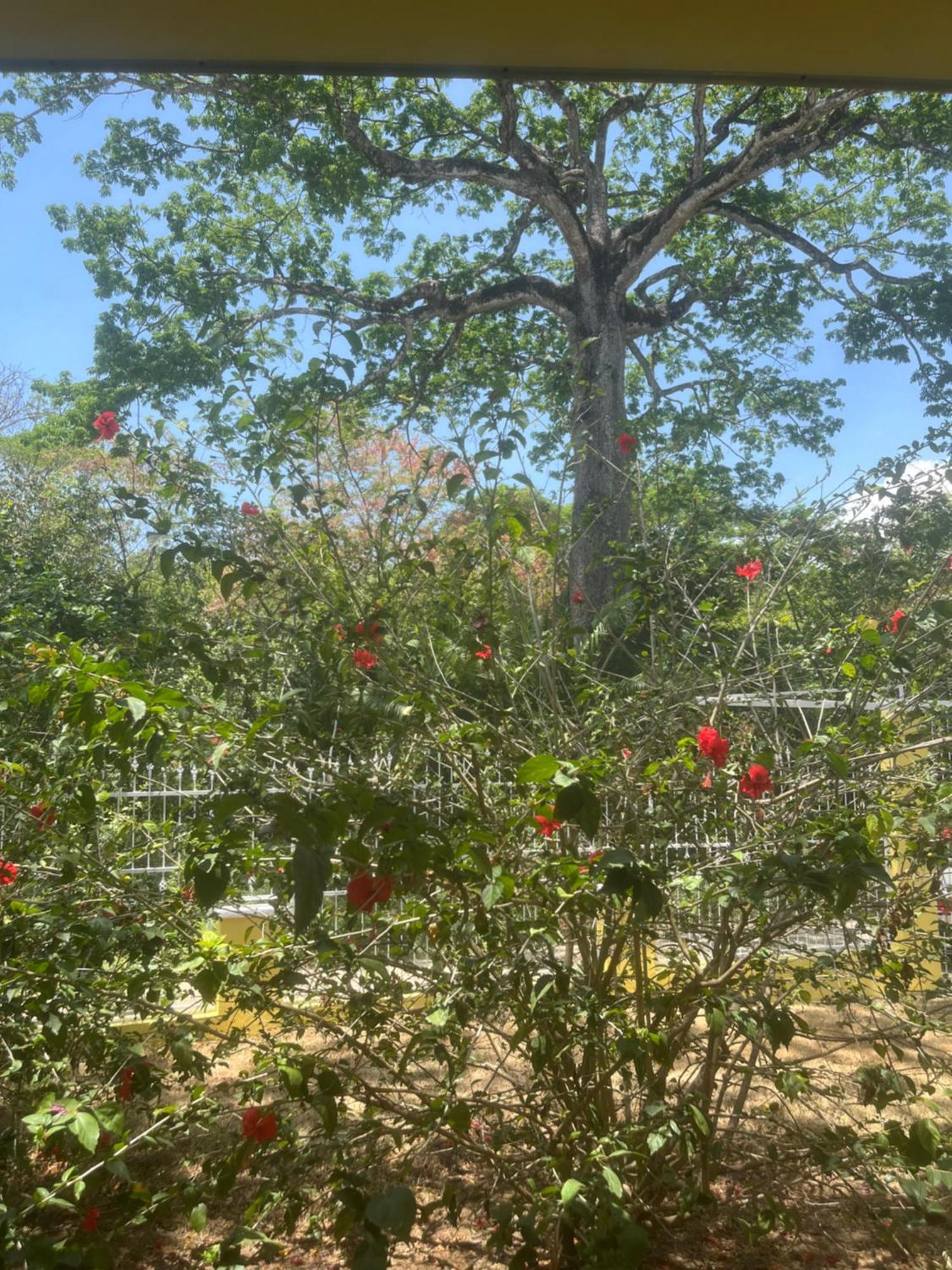 SámaraPeaceful And Beautiful Casa Almita Bonita别墅 外观 照片